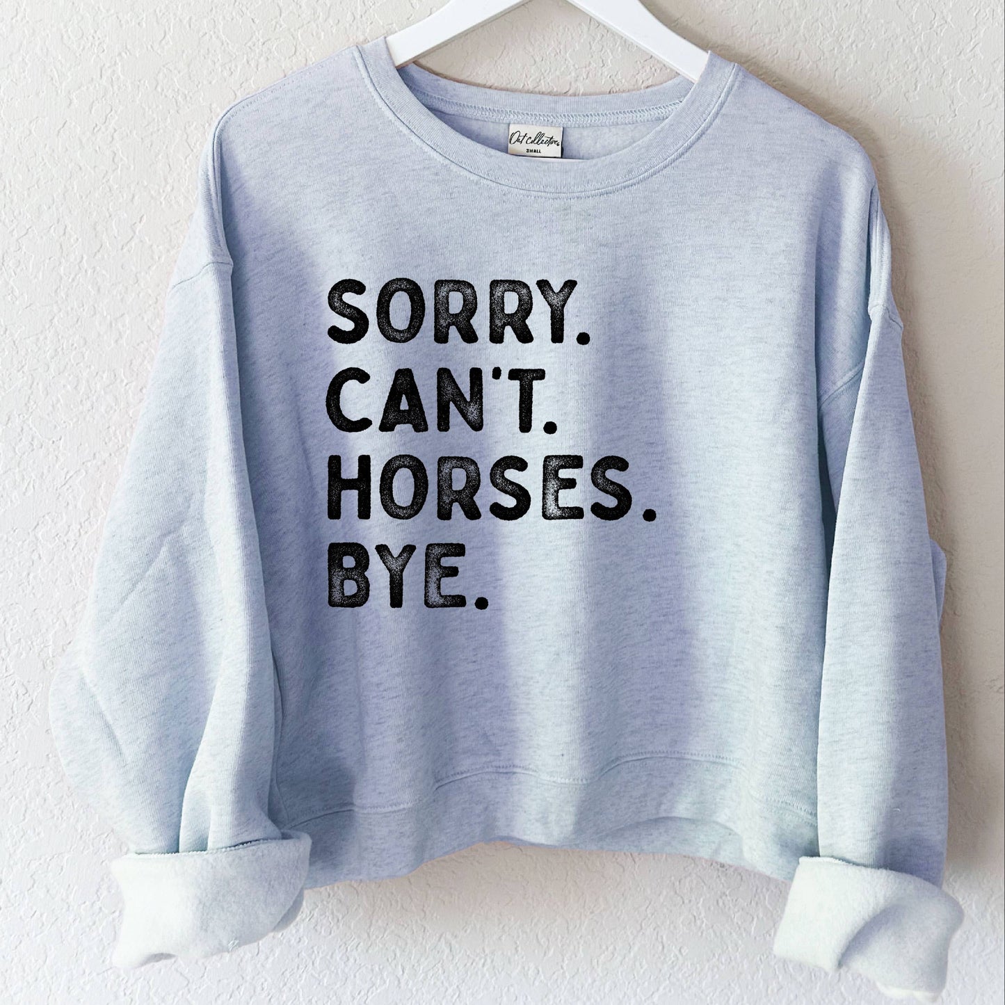 Light blue sweatshirt with horse-themed text.