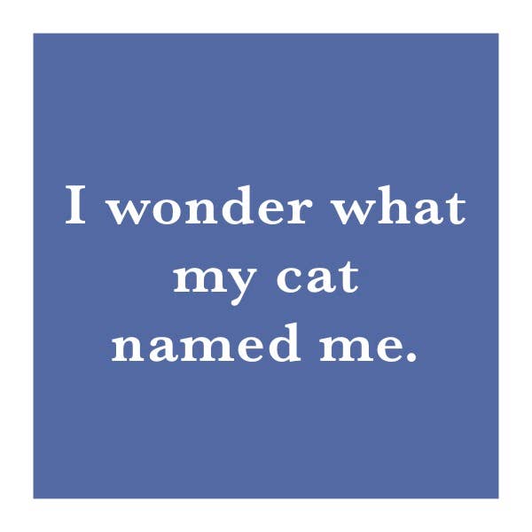 I wonder what my cat named me.