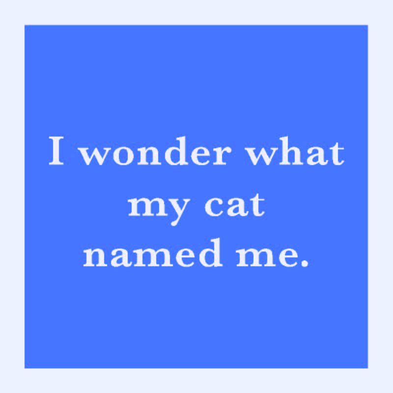 I wonder what my cat named me.