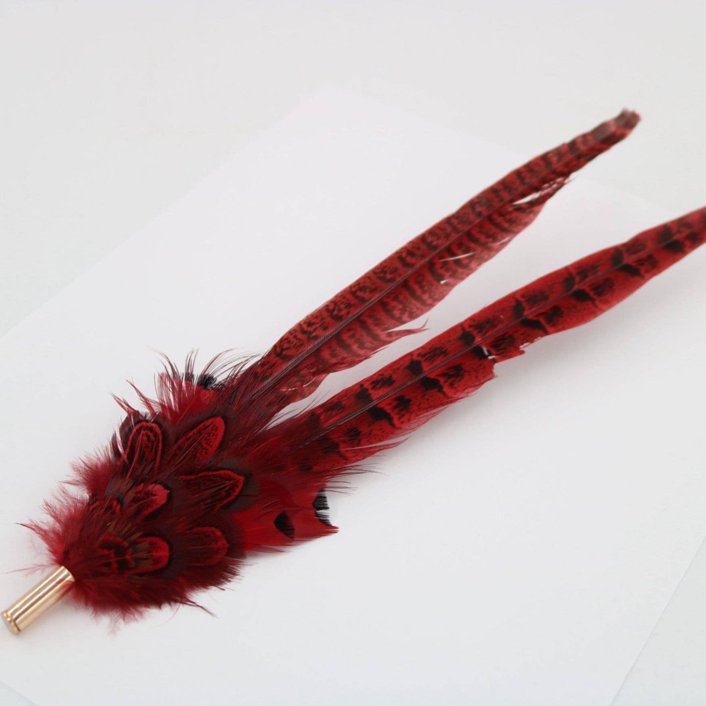 Red and black feather decoration.