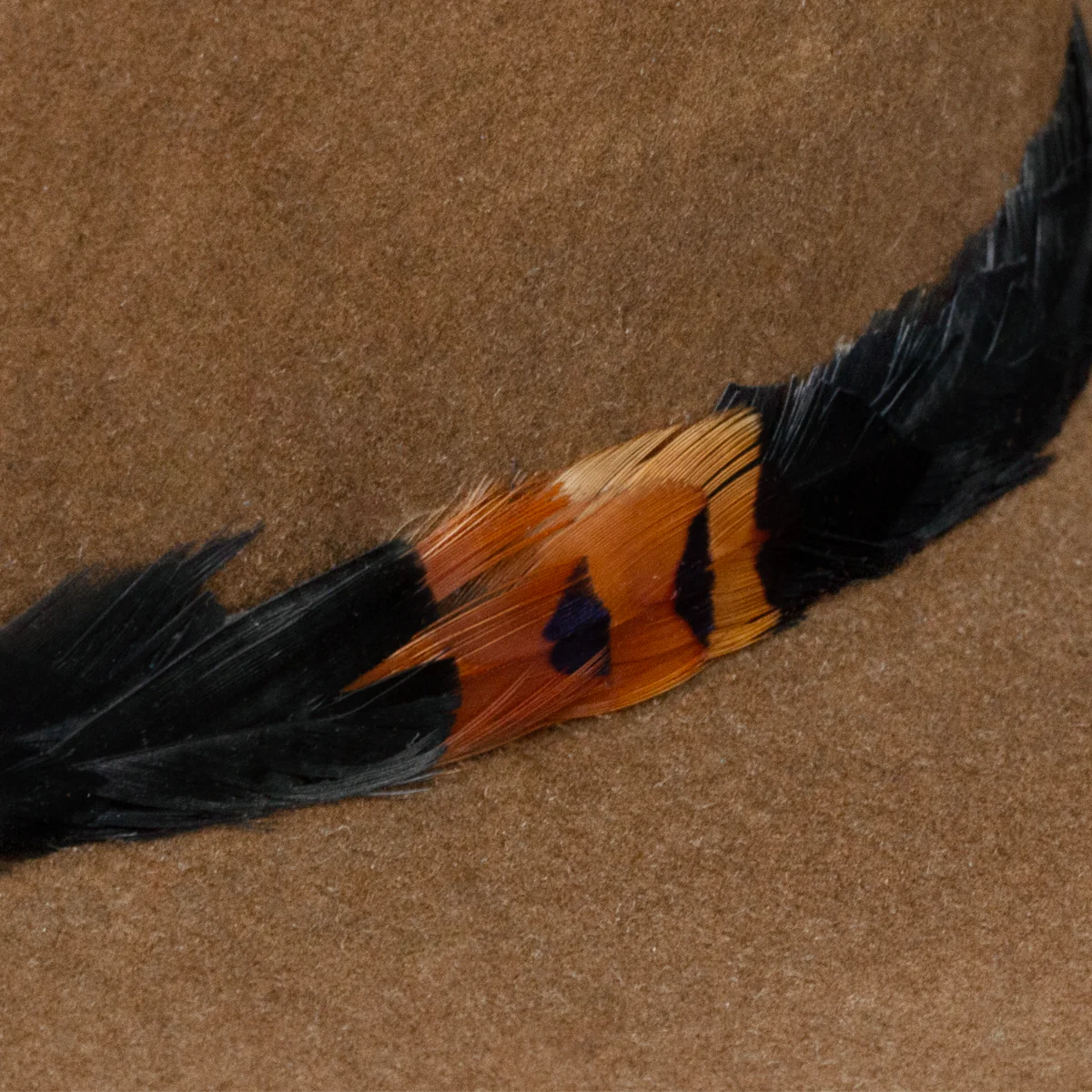 Brown hat with feather detail