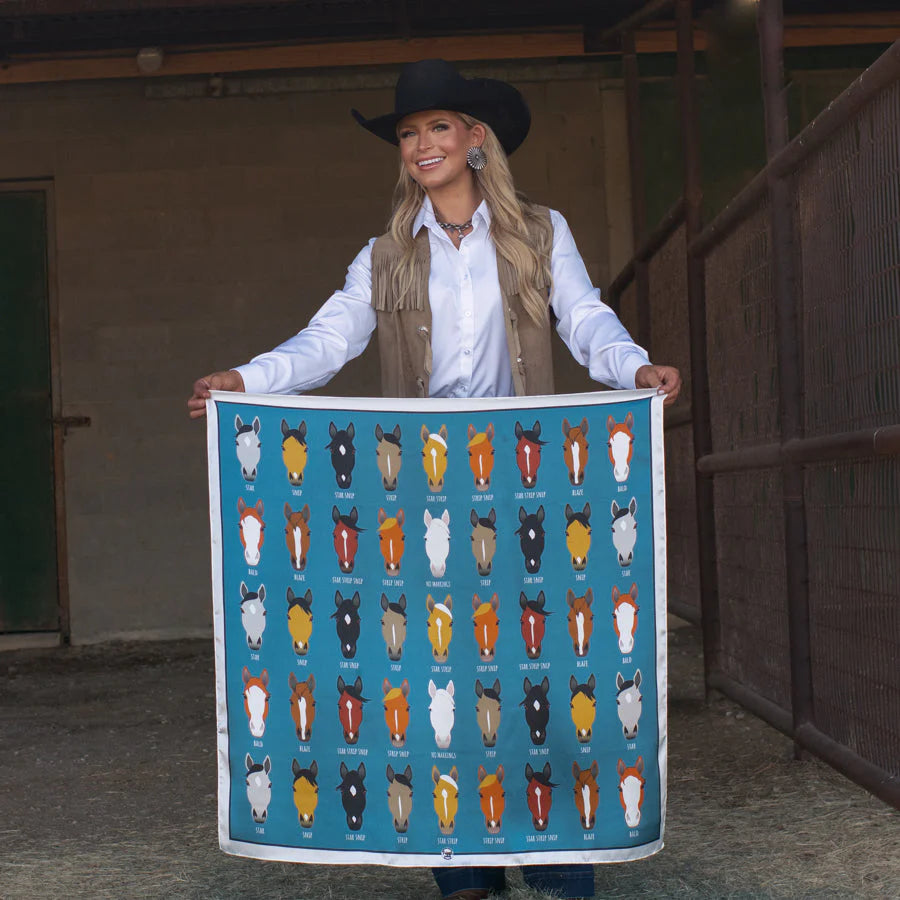 Cowgirl holding horse breed chart