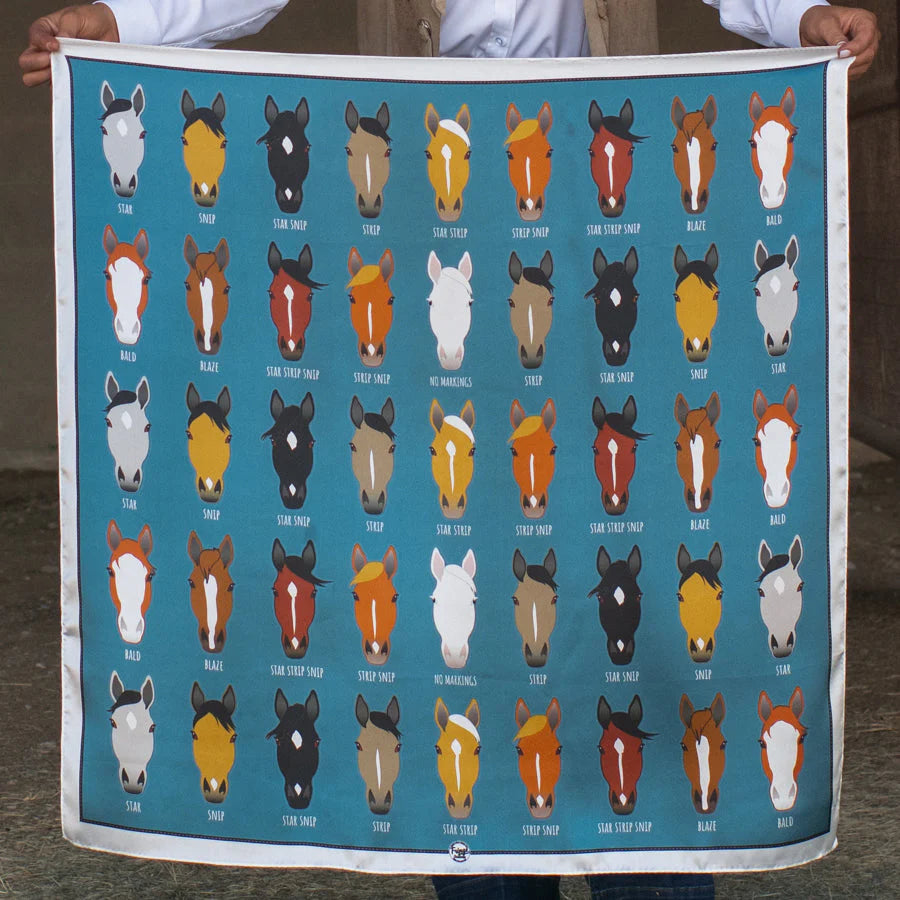 Horse breed scarf displayed, DSC_8010