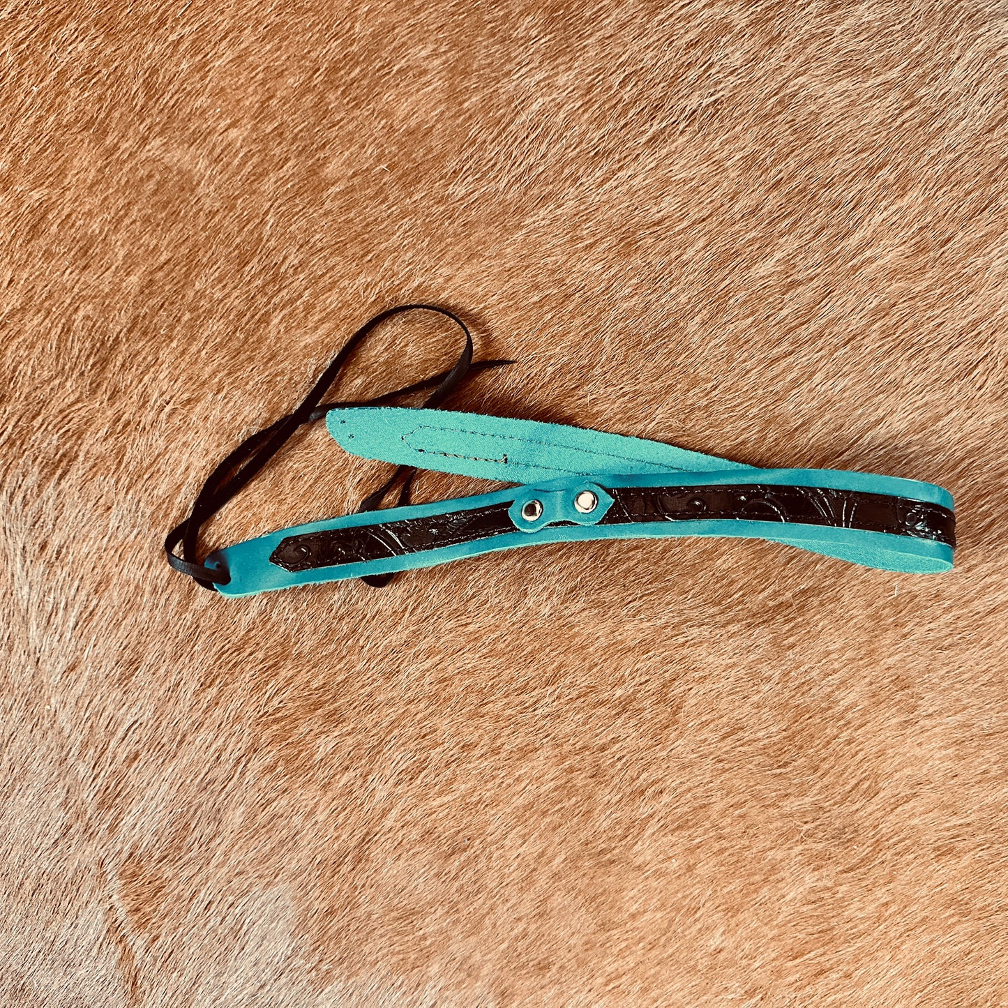 Turquoise and brown leather headstall on brown fur.