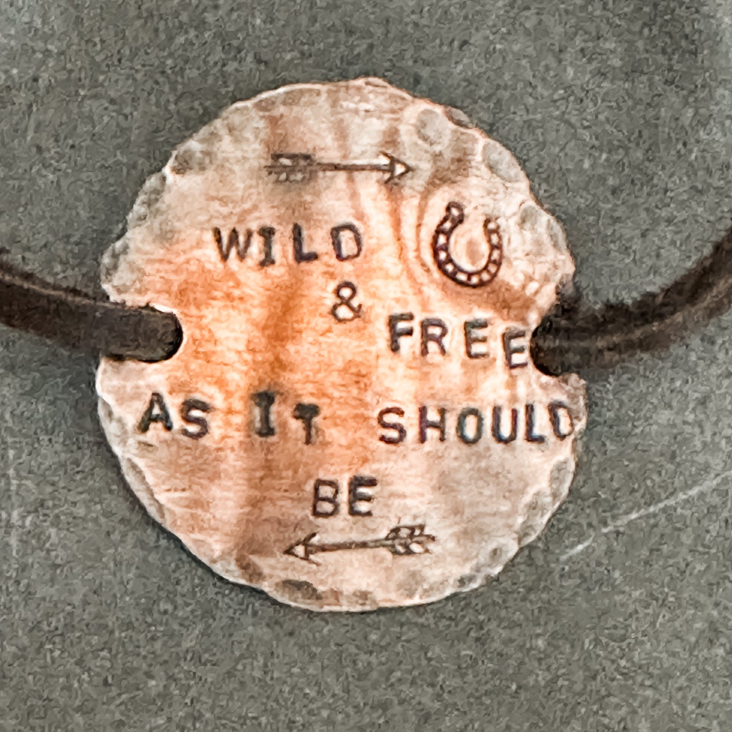 Copper coin with Wild & Free text and arrows.
