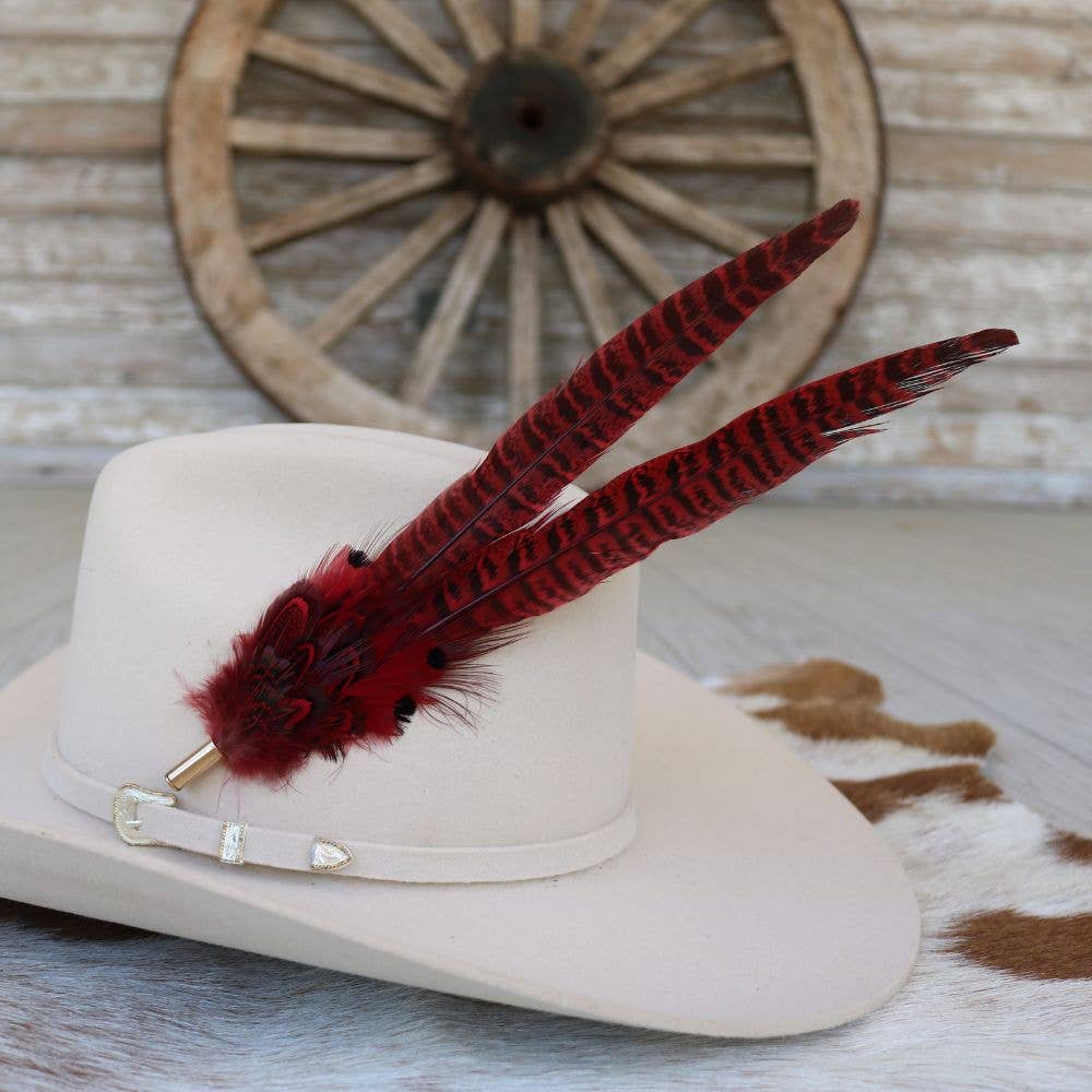 Cowboy hat with red feathers.