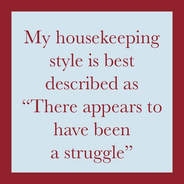 My housekeeping style is best described as 'There appears to have been a...