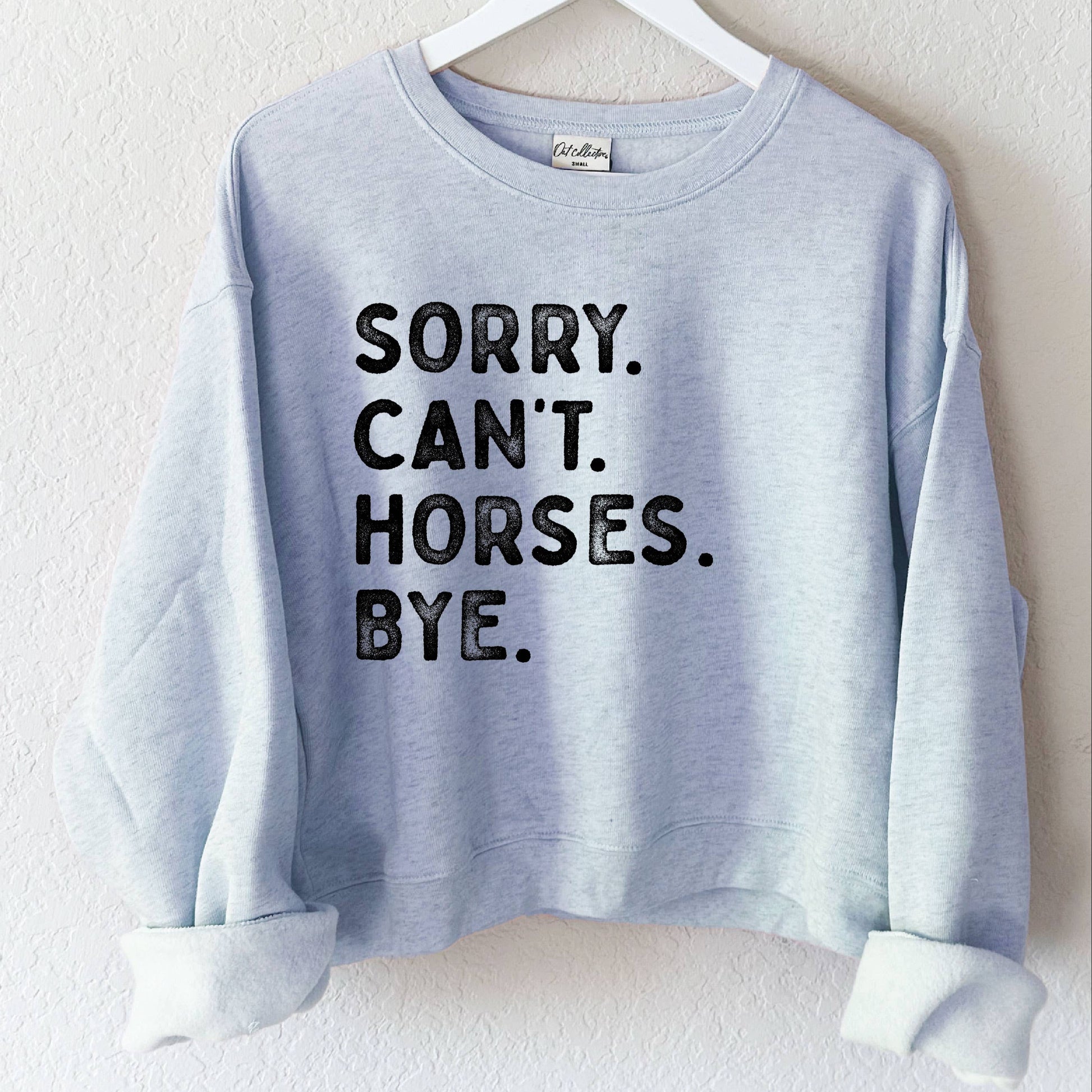 Light blue sweatshirt with horse-themed text.