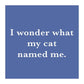 I wonder what my cat named me.