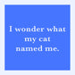 I wonder what my cat named me.