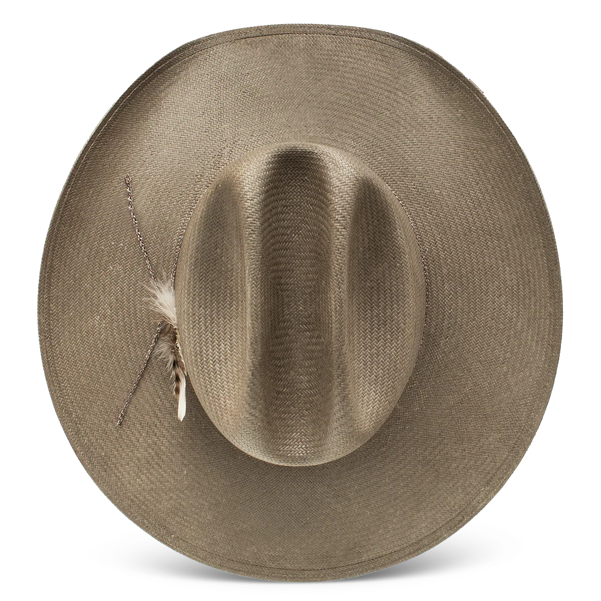 Hold My Halo Lainey Wilson Straw Hat Charlie 1 Horse