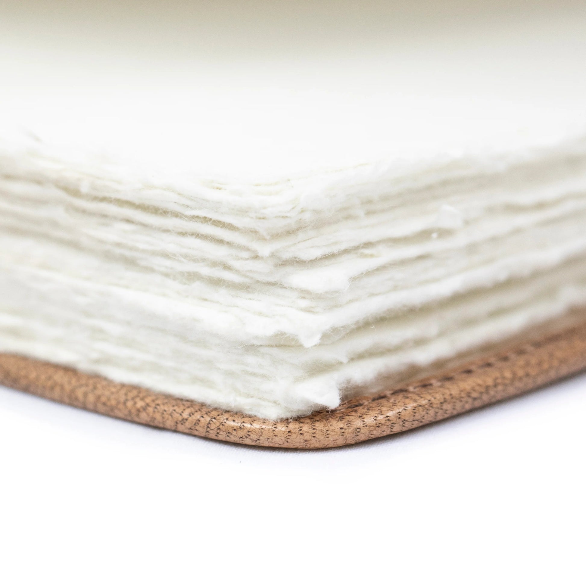 LJ164 page detail, close-up of handmade paper and leather edge.