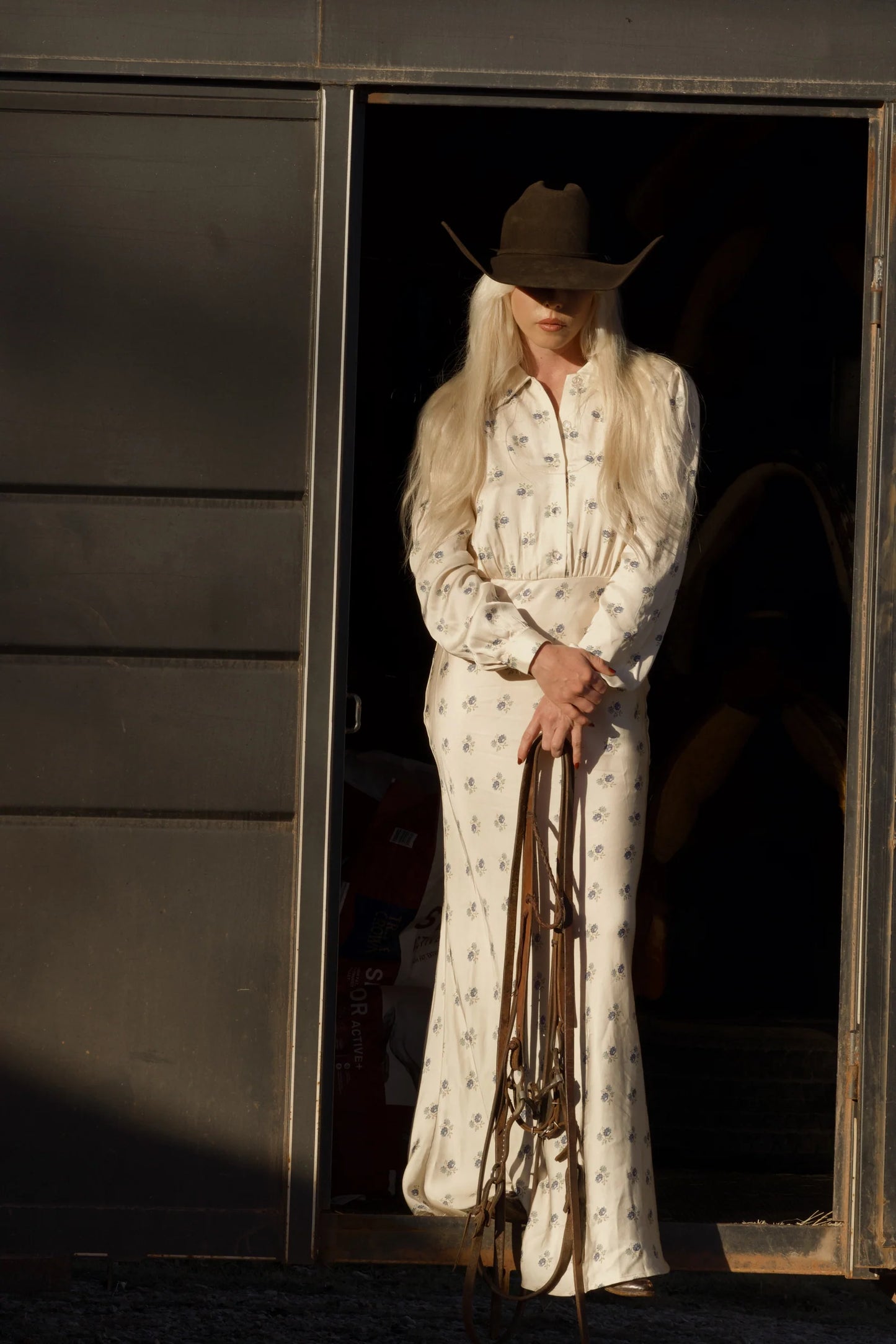 Dahlia Dress in Kindred Floral by Folk Saint