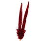 Two red feathers with dark markings.