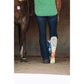 Desert Spirit Cowgirl Performance Boot Socks