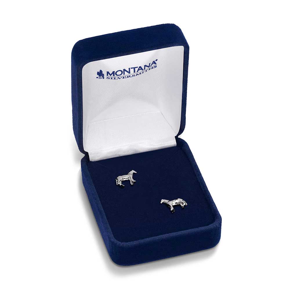 Montana Silver box with horse earrings