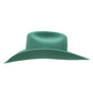 Green cowboy hat - unnamed-251