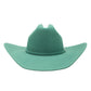Green cowboy hat - unnamed-252