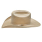 The Cowgirl Hat in Silverbelly Straw Charlie 1 Horse