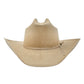 The Cowgirl Hat in Silverbelly Straw Charlie 1 Horse
