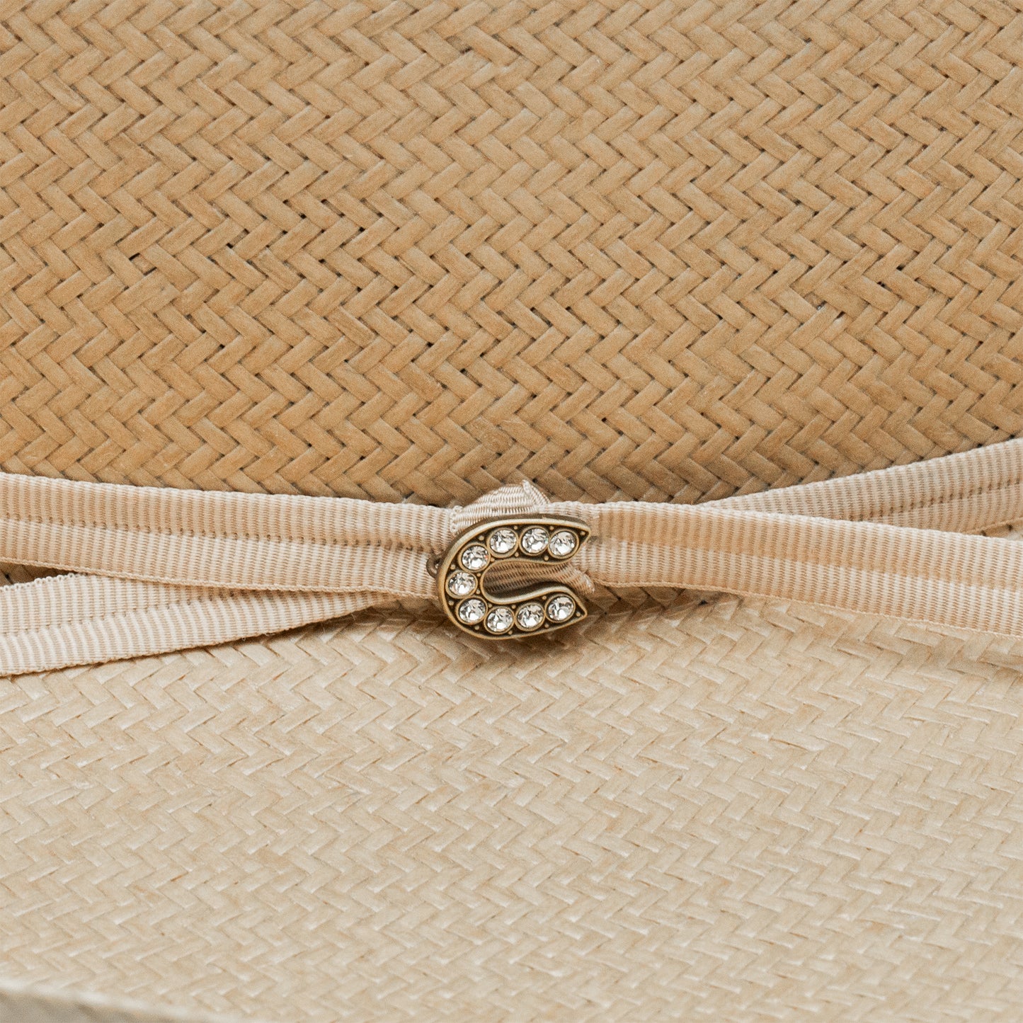 The Cowgirl Hat in Silverbelly Straw Charlie 1 Horse