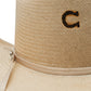 The Cowgirl Hat in Silverbelly Straw Charlie 1 Horse