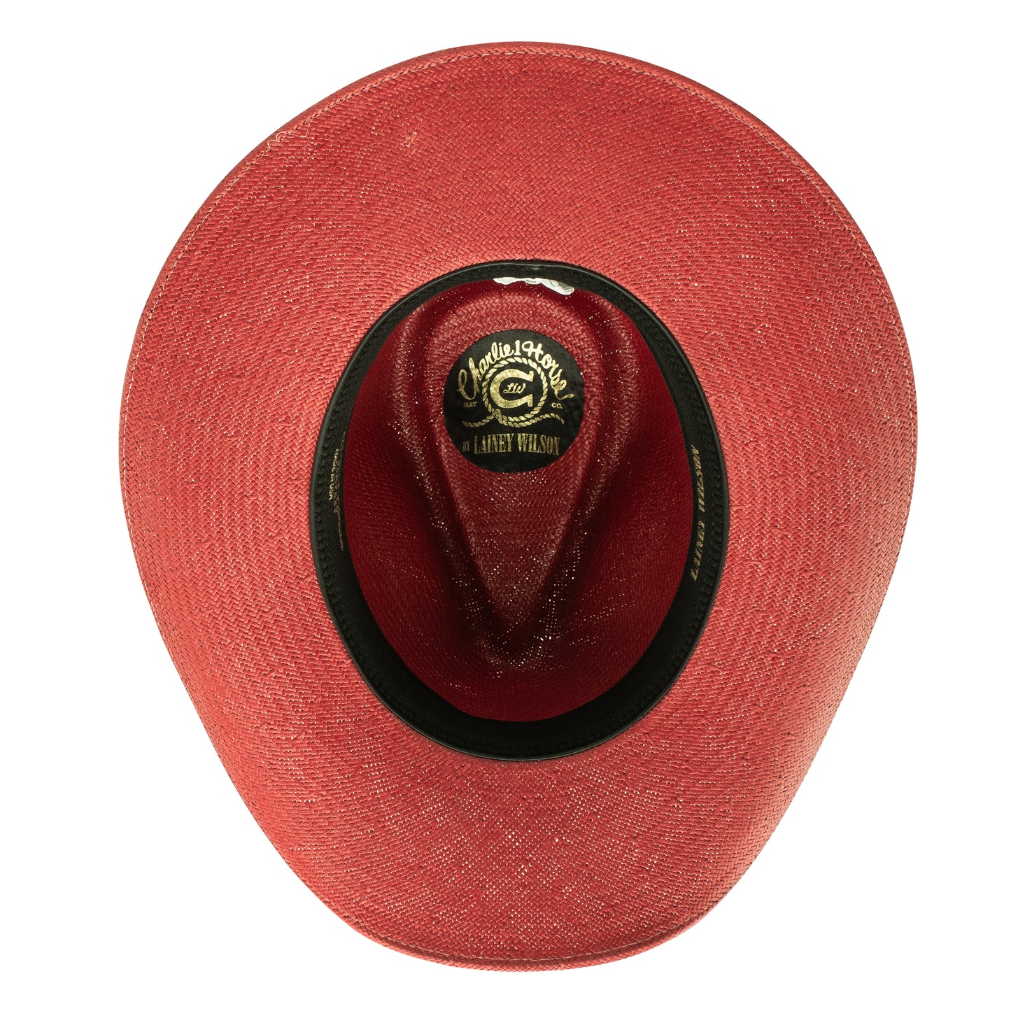 Breakin' Hearts Charlie 1 Horse for Lainey Wilson Cowboy Hat