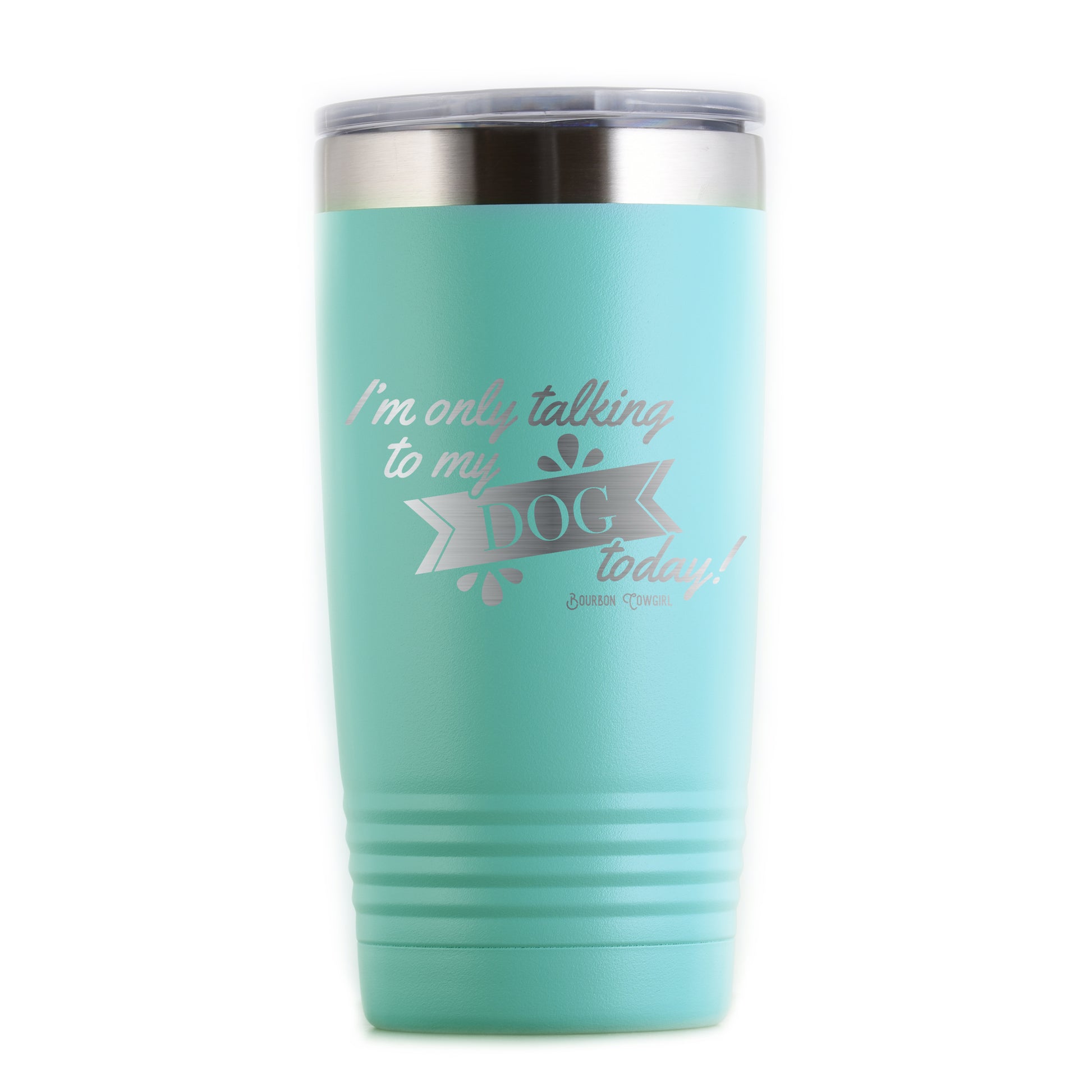 Teal dog tumbler I'm only talking to my dog today